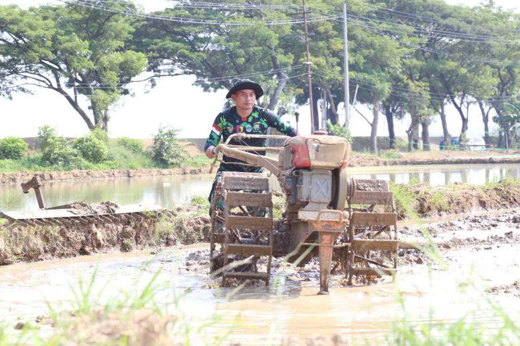 Perwira Menengah TNI-AD Terjun Langsung Siapkan Lahan Pertanian Seorang&nbsp;Diri