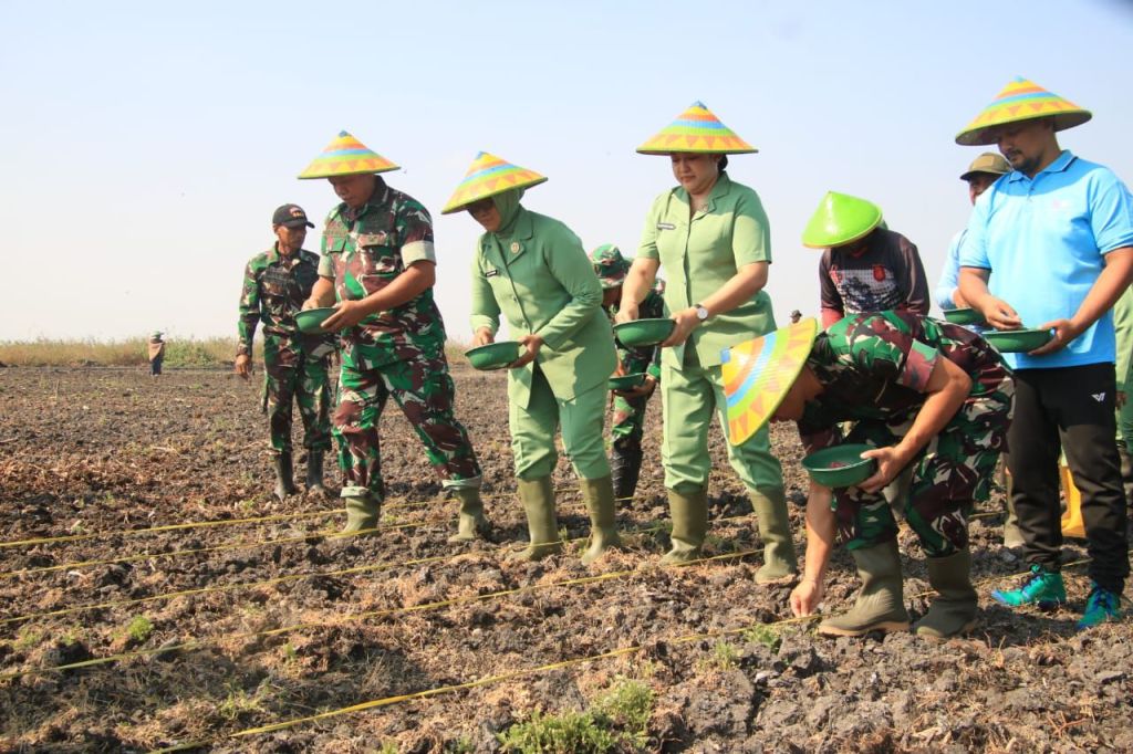 Kapok Sahli Brigjen TNI Ramli Tanam Jagung di&nbsp;Lamongan